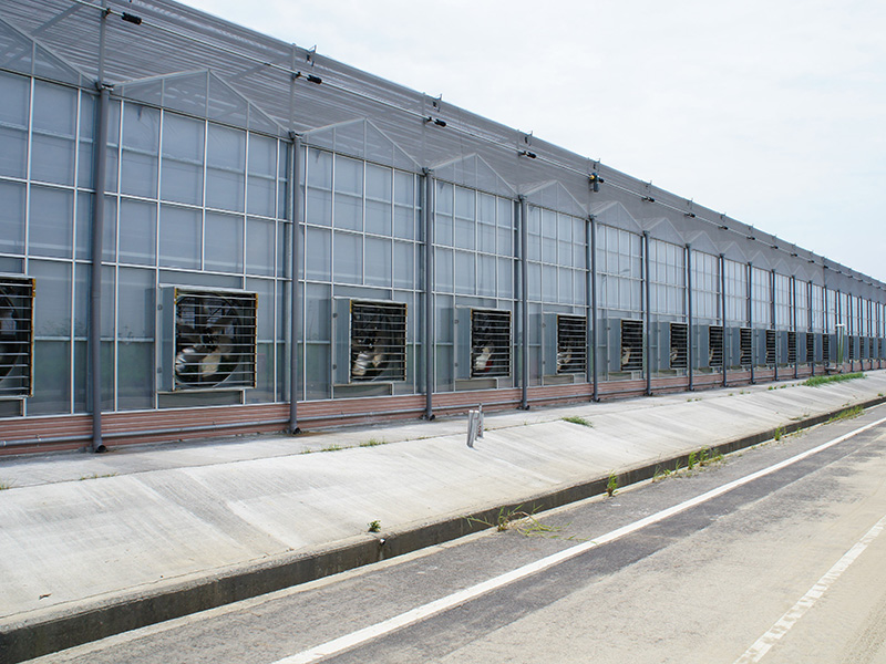 长治市玻璃大棚玻璃温室 - 厂家